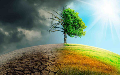 9 actos revolucionarios que ayudarían a mitigar el cambio climático