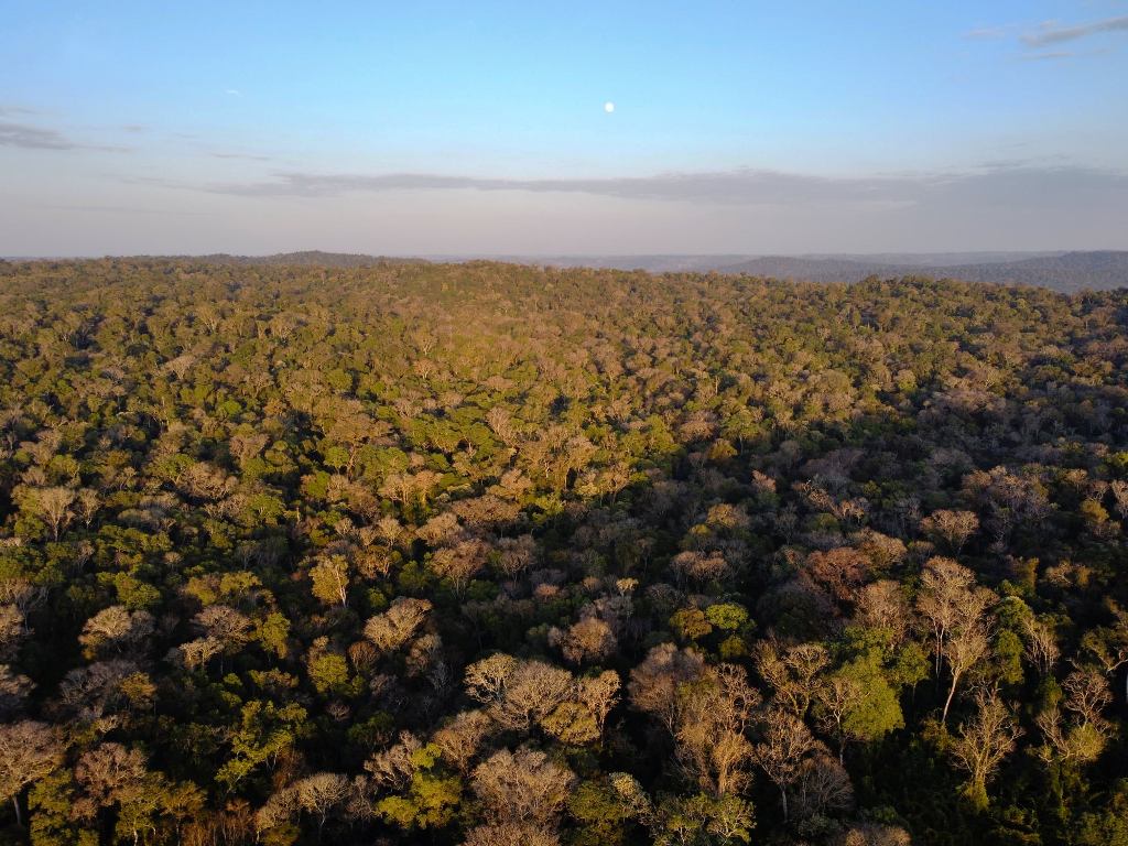 Bosques-Nativos-Foto-Eduardo-Hildt